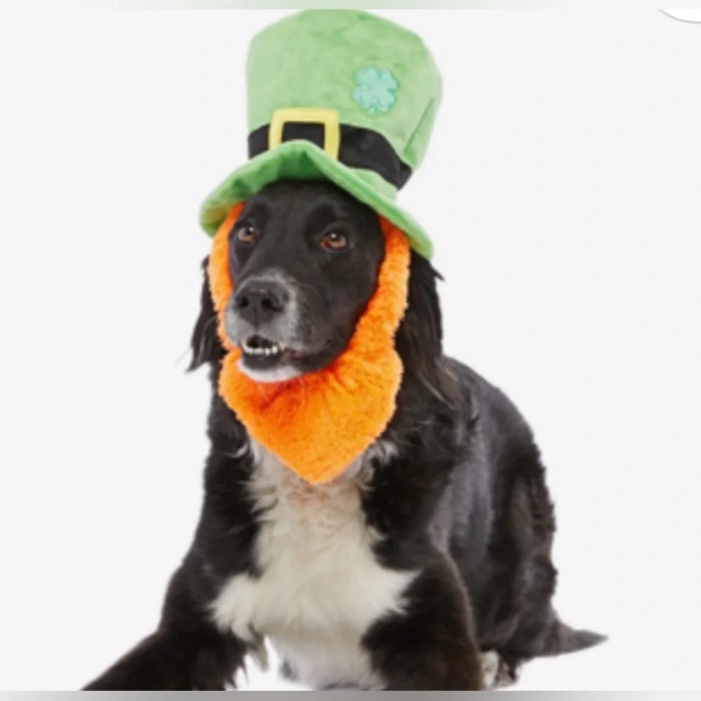 Bark Box St Pups Lucky Hat M-L Dog wearable Dog toy NEW  St Patrick’s Day